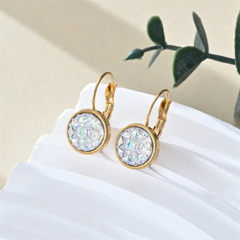 Colorful Steel Earrings