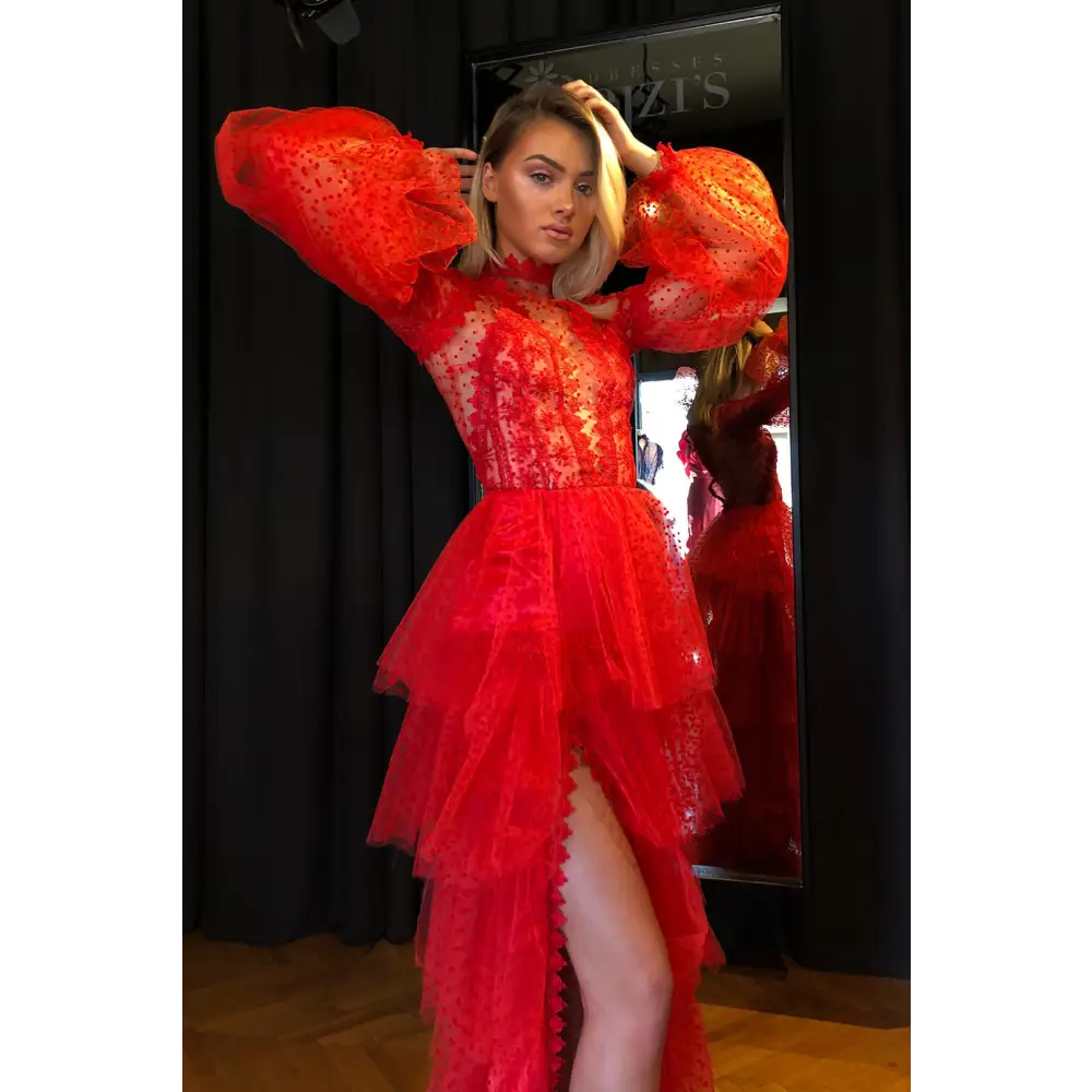 Meshy Evening Gown