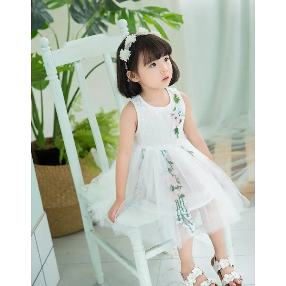 Royal Western Baby Dress