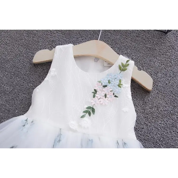 Royal Western Baby Dress