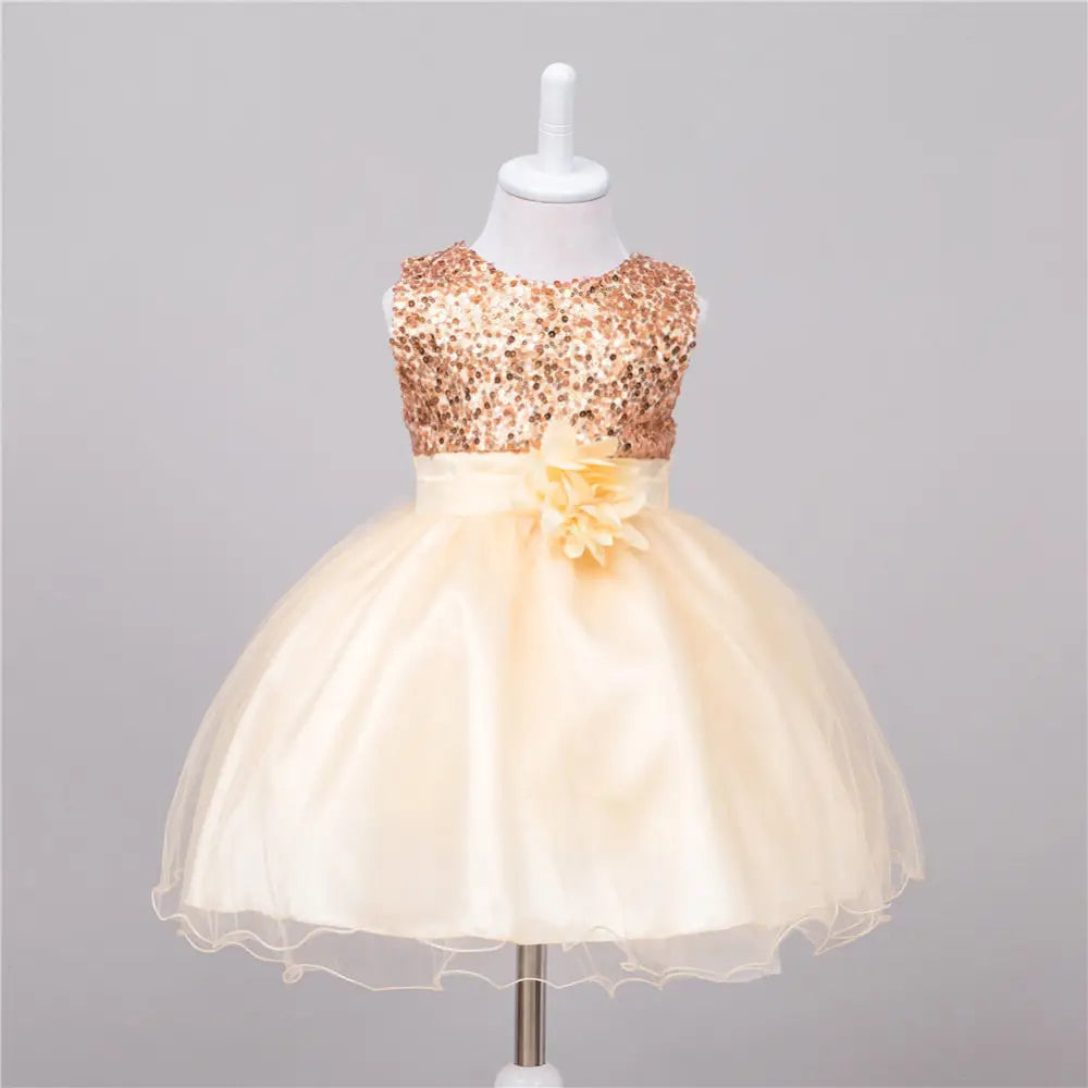 Sparkle Princess Dress