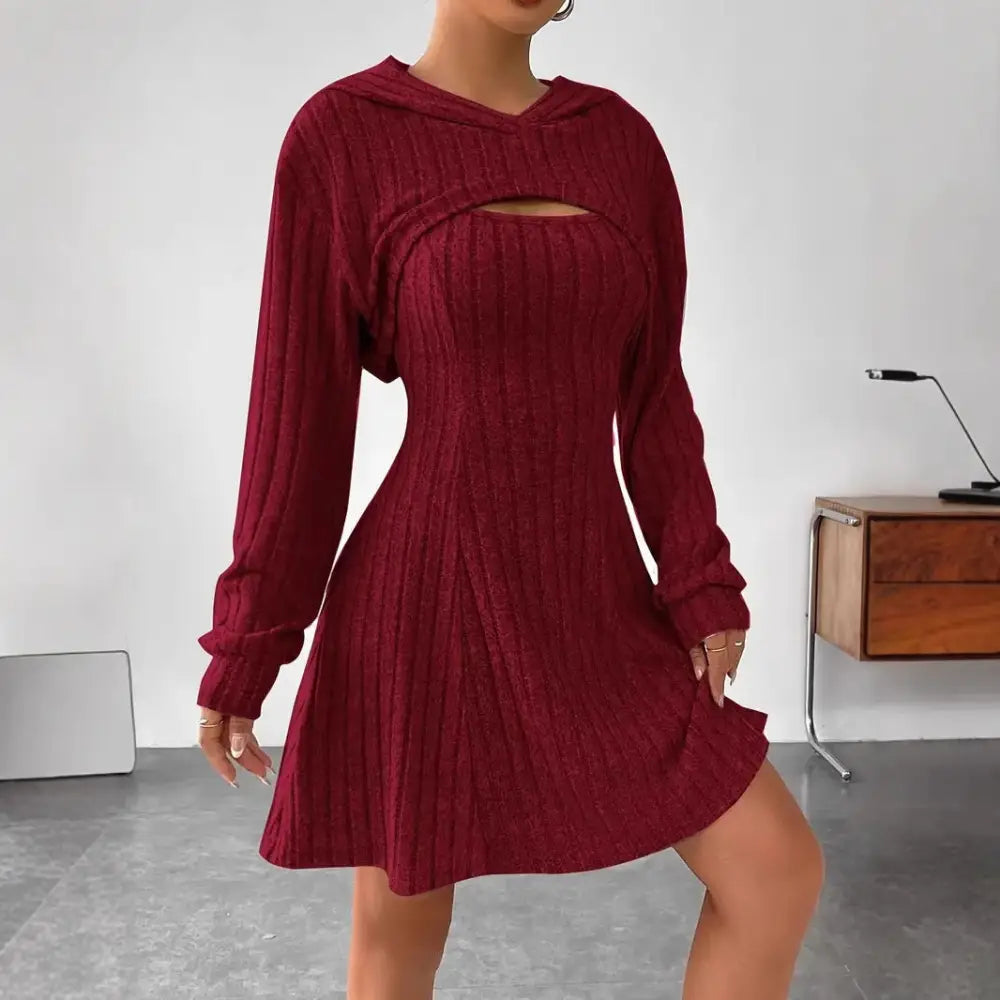 Women’s Two-piece Set Dresses New Fashion Fall Winter Hooded Shawl Long-sleeved Vest Short Skirt
