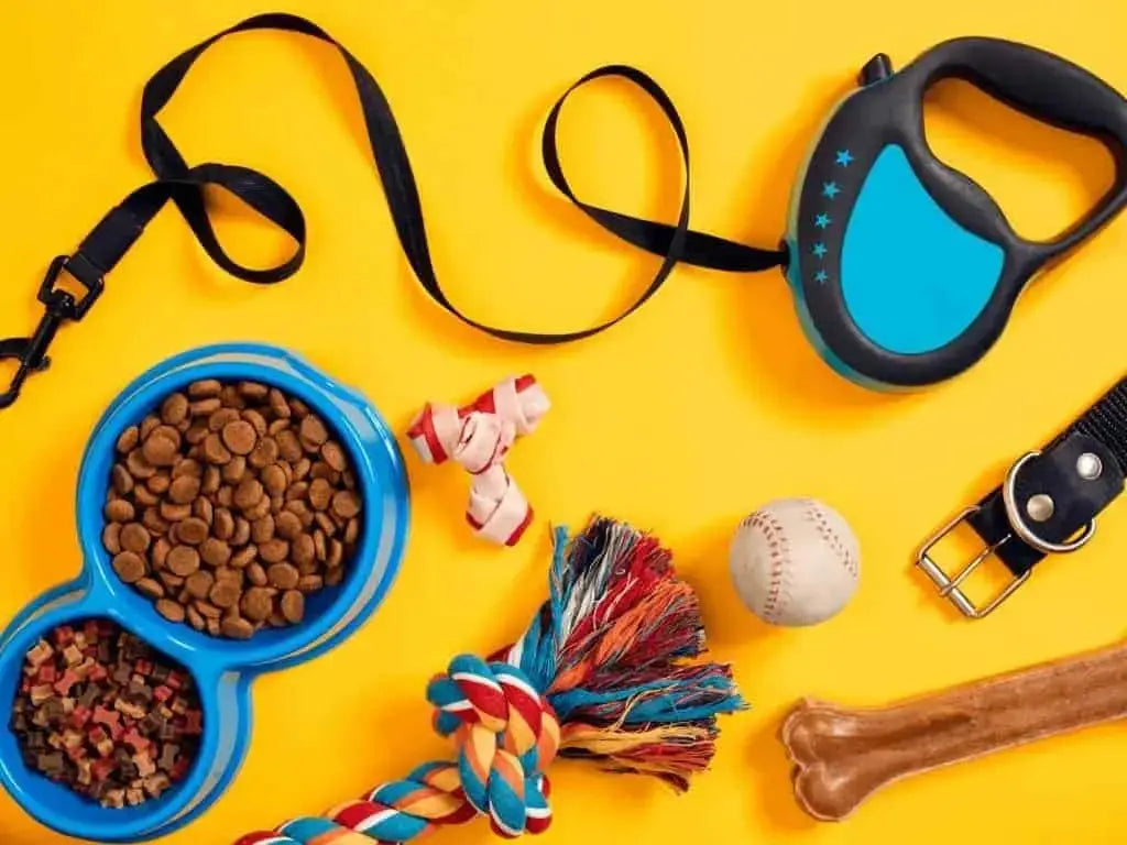 Pet Accessories