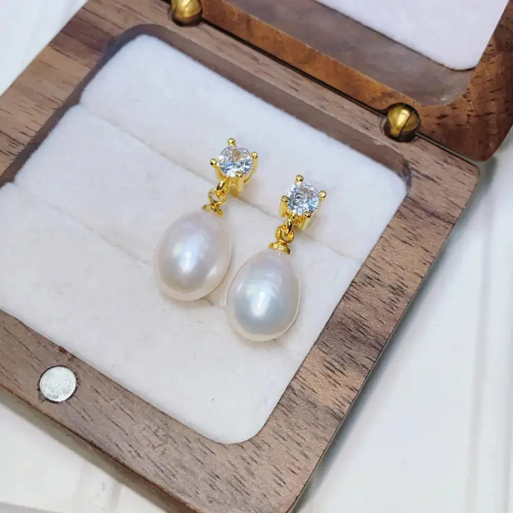 ChicS925 Retro Shine French Style Elegant Earrings - LauBelle