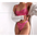 Empower Lace Lingerie Collection for All Body Types - LauBelle Brand