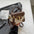 ChromaFlex PU Shoulder Bag - Versatile & Stylish - LauBelle