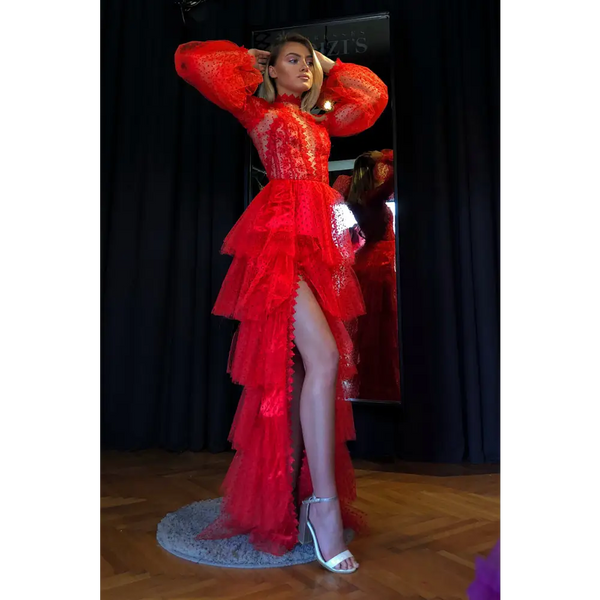 Meshy Evening Gown with Delicate Mesh Overlay - LauBelle