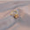 Twirl Opal Pendant Rotating Necklace for Women - LauBelle