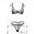 Enchant Lace Lingerie Set for Women - LauBelle