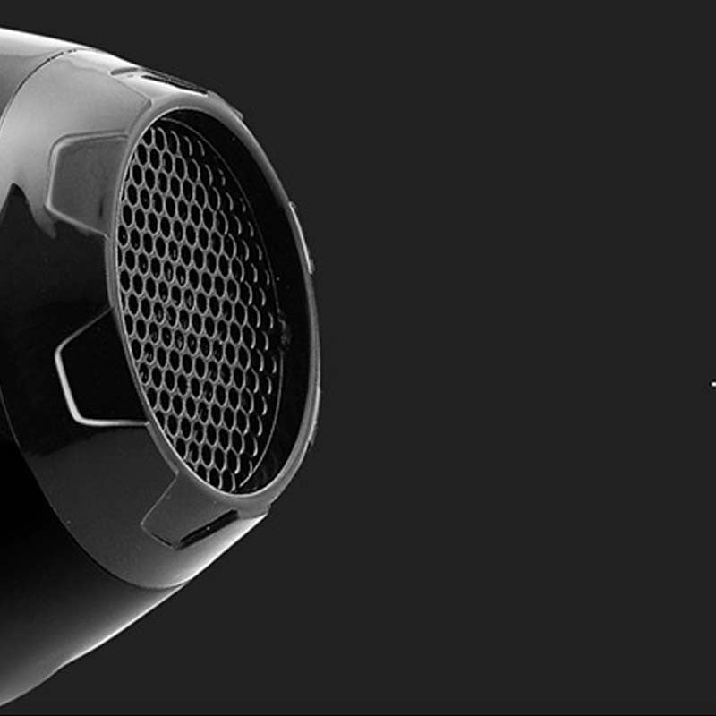 Blue Ion Pro: Home Salon High-Power Hair Dryer