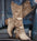 Knightly Chic: Women's Mid Martin Boots Collection - LauBelle Brand