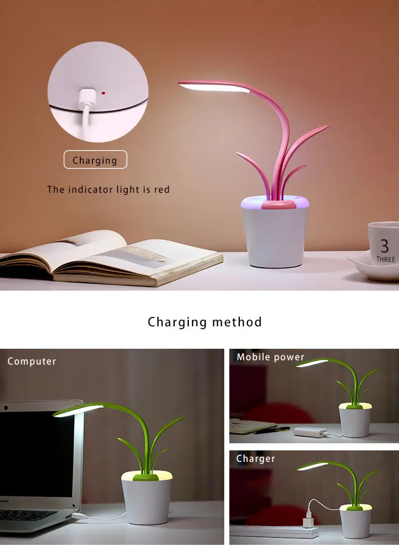 Adjustable Brightness LED Lamp with Night Light Mode