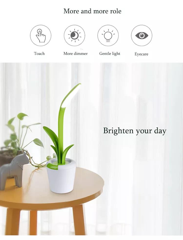 Adjustable Brightness LED Lamp with Night Light Mode