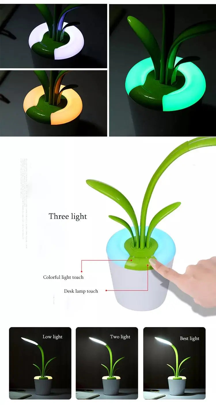 Adjustable Brightness LED Lamp with Night Light Mode