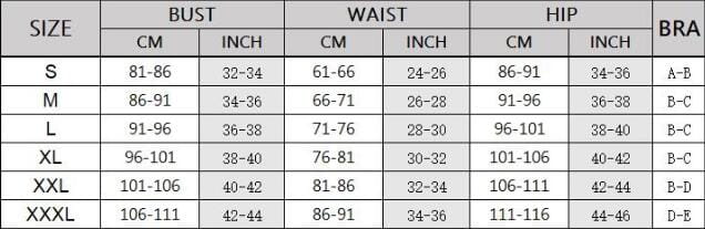 Women’s Split High Waist Ruffle Print Bikini