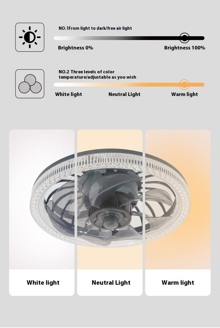 Modern Ceiling Fan Light with Remote Control for Living Room or Bedroom