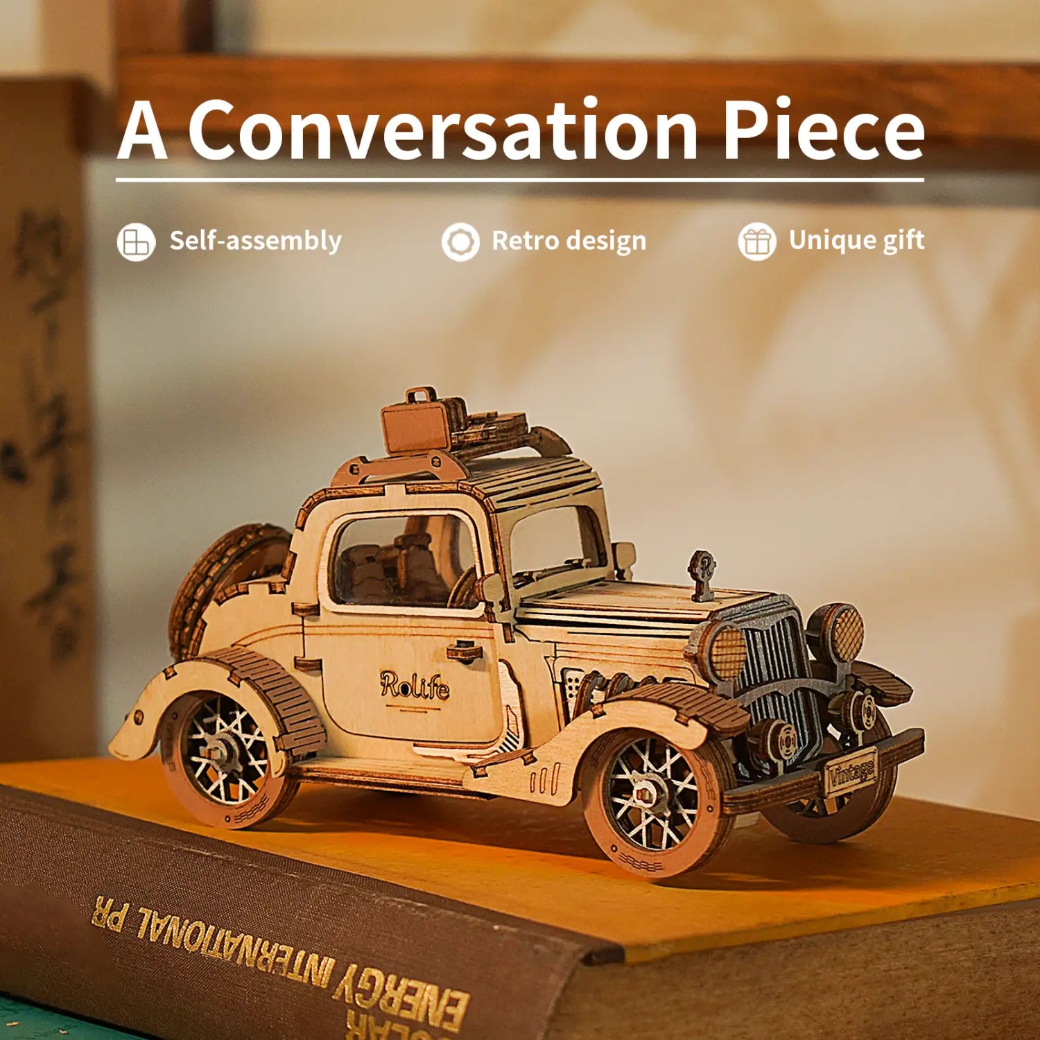 Plywood Package with English Instructions and Accessories No Glue Included