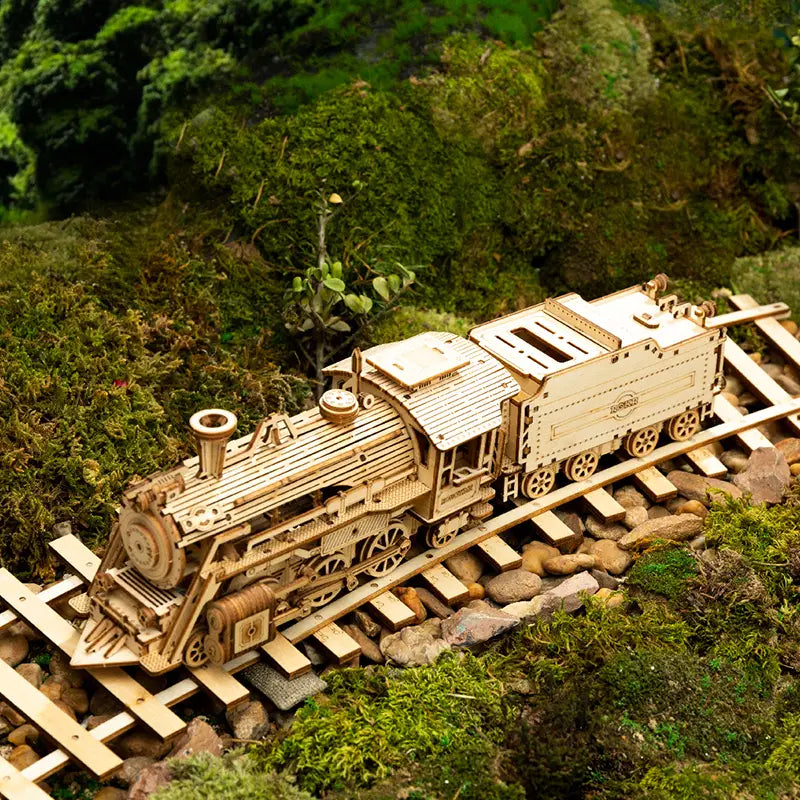 Robotime Wooden Train DIY Model Kit 308 Pieces for Ages 7 and Up