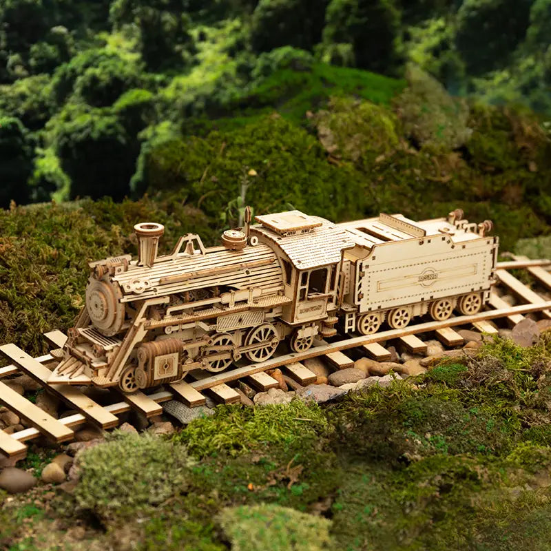 Robotime Wooden Train DIY Model Kit 308 Pieces for Ages 7 and Up