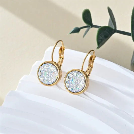 Colorful Steel Earrings