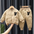 Cotton Warm Set for Boys - Khaki / 80