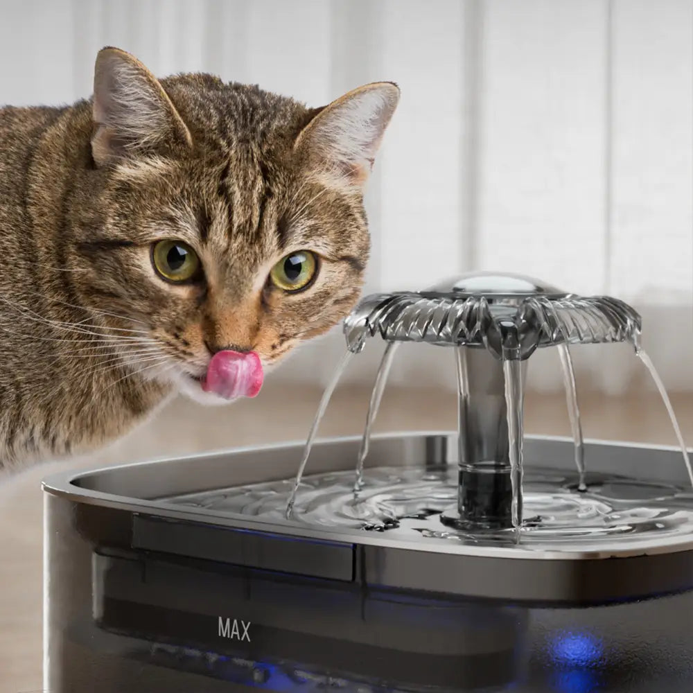 Gray Pet Water Dispenser with USB and Sensor Black Filter Cotton Set