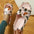 Ladies Cartoon EVA Flip Flops in White and Pink - 36to37 / Pink