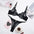 New Women’s Multi-color Perspective Lace Underwear Set - Black / S