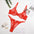 New Women’s Multi-color Perspective Lace Underwear Set - Red / S