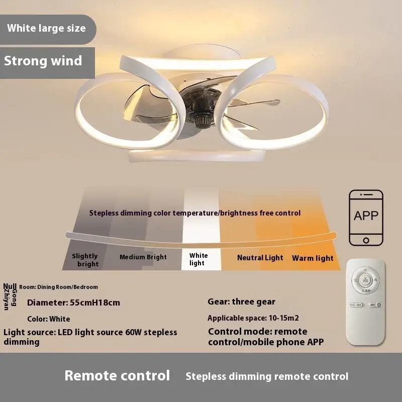 Remote Control Plastic Fan Black 45 cm Electrodeless Dimming Frequency White Large Size / 220V Electrodeless Dimming