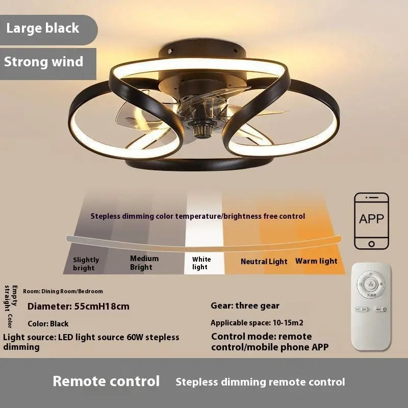Remote Control Plastic Fan Black 45 cm Electrodeless Dimming Frequency Black Large / 220V Electrodeless Dimming