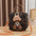 Retro European American Round PU Suitcase Style Women’s Handbag - Brown With Khaki / Length 18 Height 18 Width 9cm