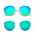 RetroChic Women’s Sunnies - Silver + Green