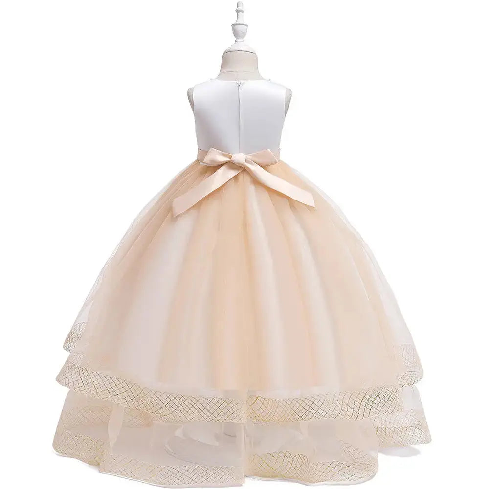 Twirl & Shine: Birthday Embroidered Tulle Dress