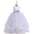 Twirl & Shine: Birthday Embroidered Tulle Dress - Silver / 120cm