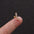 TwistLeaf Stainless Steel Elegant Ear Studs - Gold 4