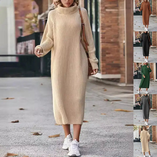 Warm Knit Turtleneck Dress