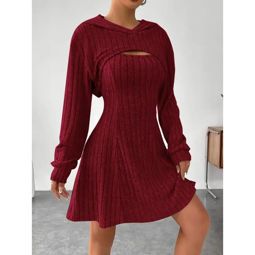 Women’s Two-piece Set Dresses New Fashion Fall Winter Hooded Shawl Long-sleeved Vest Short Skirt - Dark Red / S