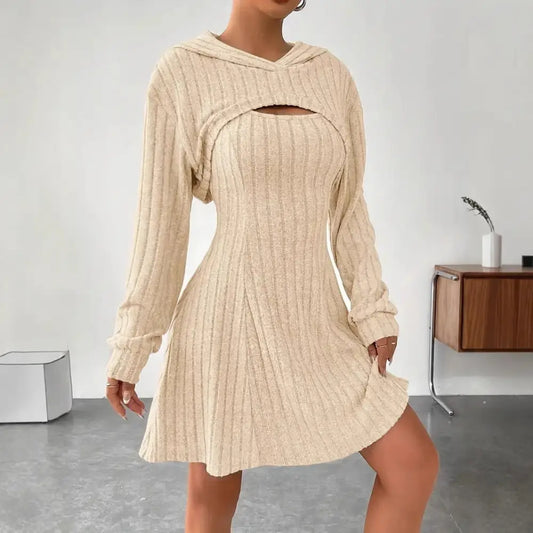 Women’s Two-piece Set Dresses New Fashion Fall Winter Hooded Shawl Long-sleeved Vest Short Skirt