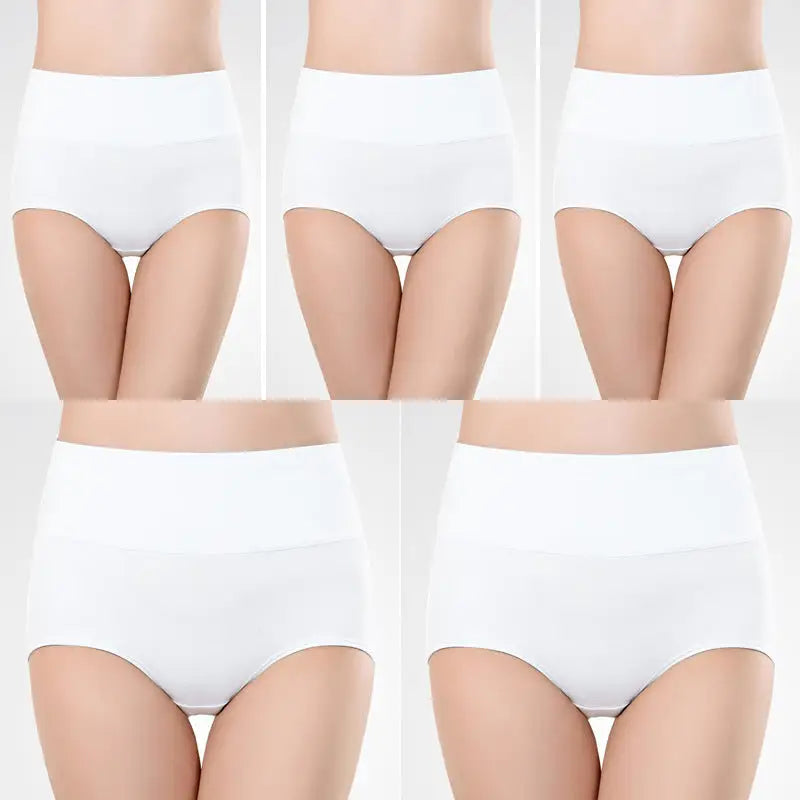 Women’s Underwear High Waist Shaping Underwear Plus Size - White 5PCs / S