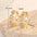 Zircon Elegance: Luxe Earrings for Women - Gold H13178 / Gold