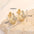 Zircon Elegance: Luxe Earrings for Women - Gold H13793 / Gold